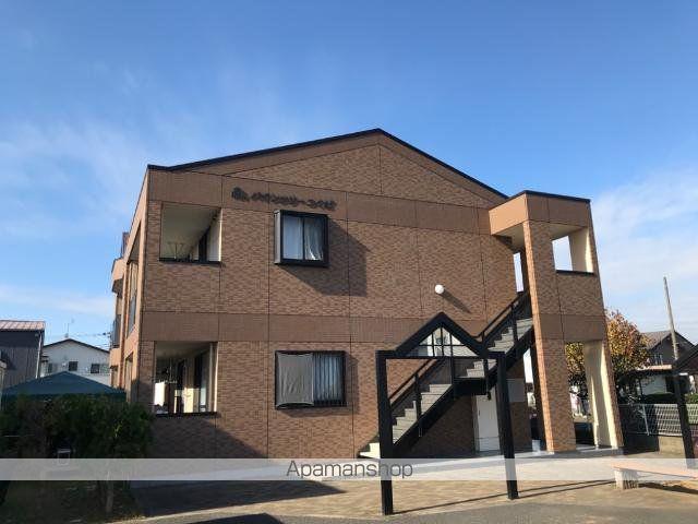 パインツリー つくば