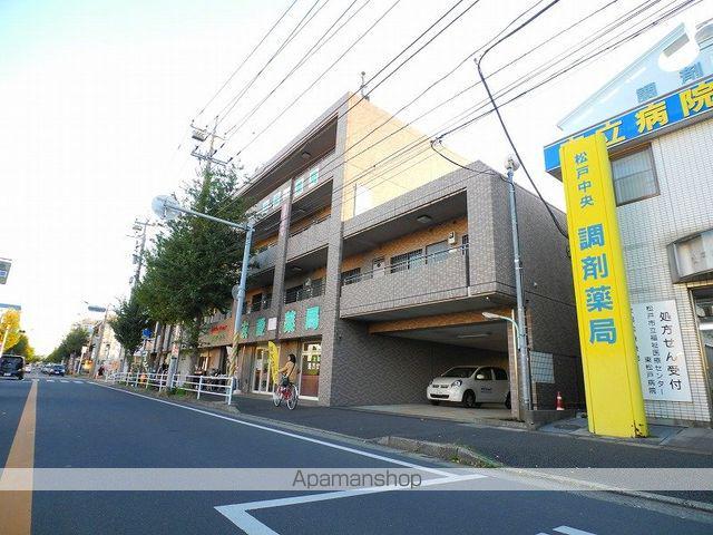 パインツリーコート