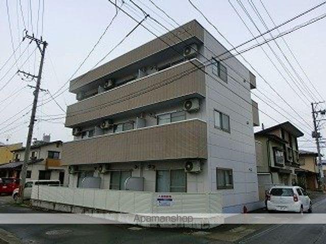 エバーグリーン