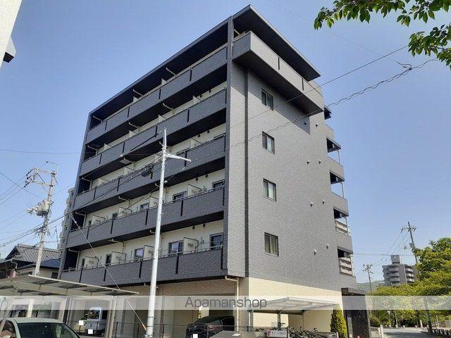 プラシードK さくら