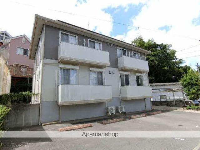 グレイスアコード