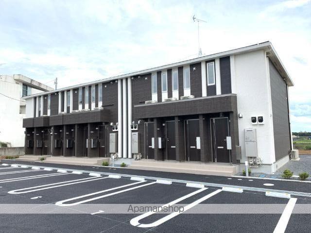 コモド ピノ Ⅴ