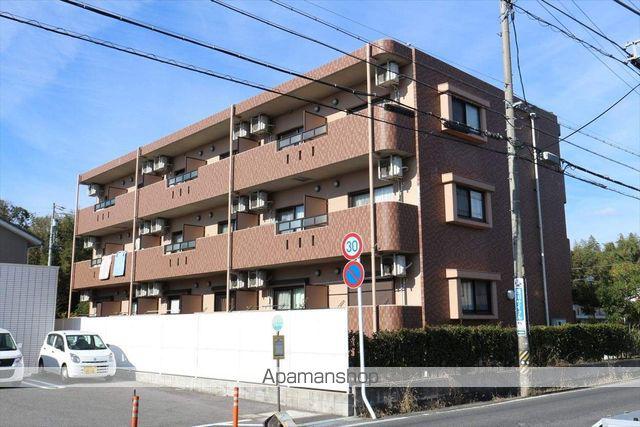 フォレスト・イン・シラーズ