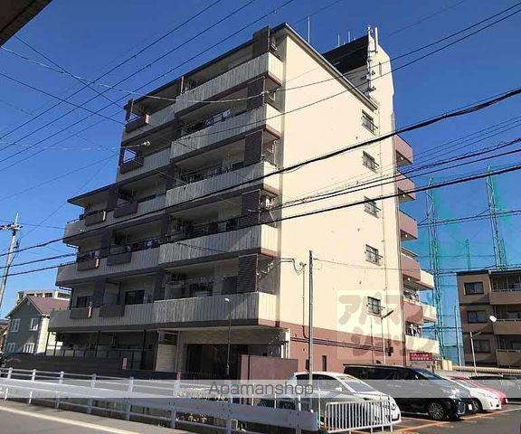 サンフローラ桂