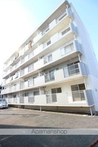 ミネルヴァ曰佐