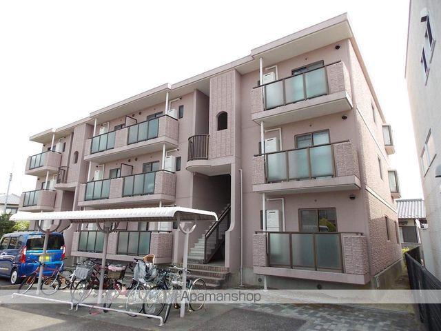 パラシオイトウ