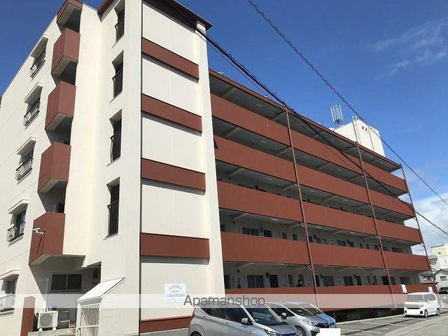 キャメル・シード