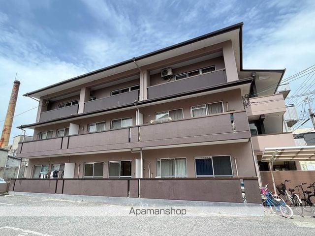 エクセルシード