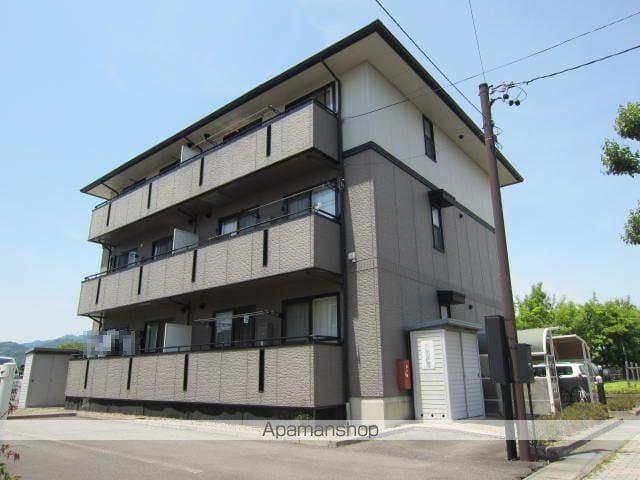 ハイカムールマルナカ