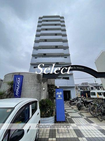 メゾン・ド・マジュール