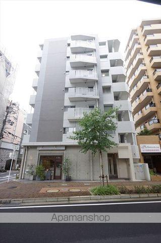 プログレッソ花の木