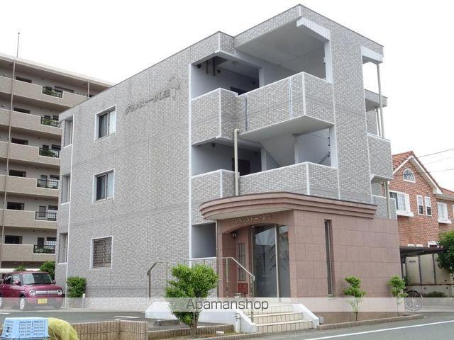 グランストーク初生