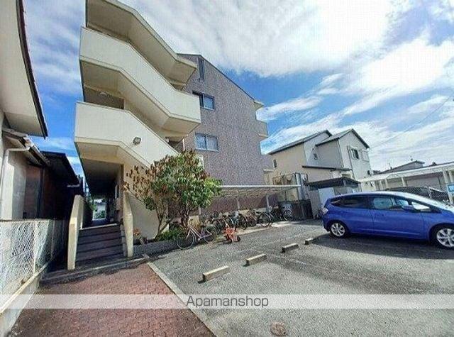 サンセベリア大津