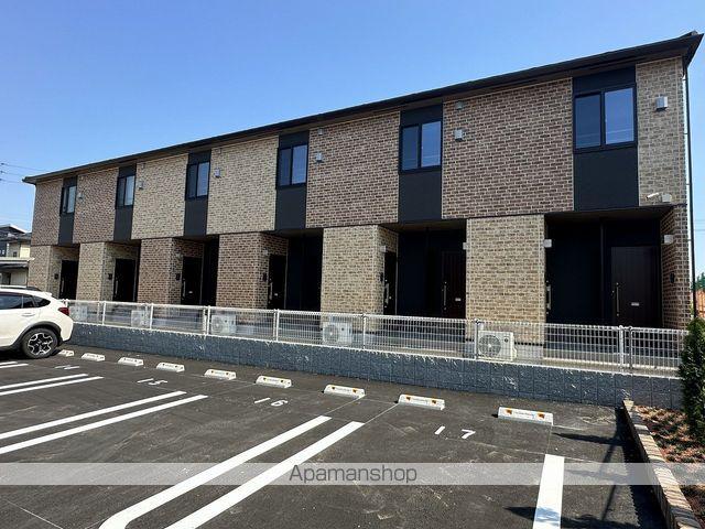 エバーグリーンD