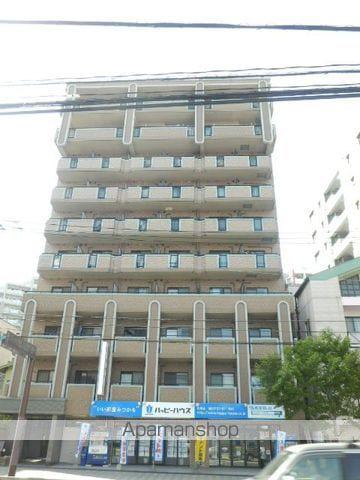 ルミノスコート