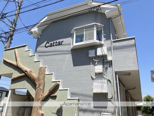 CATTAR