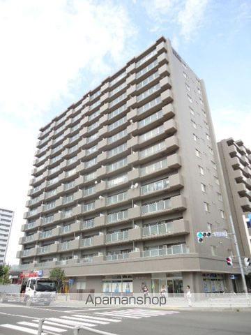 クリーンリバー桑園駅前1号棟(3LDK/9階)