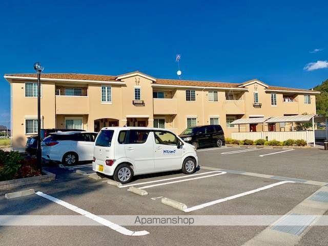 カメリア レイン 1