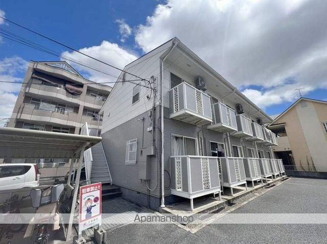 サンフラワー青江