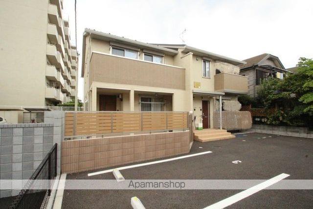 シザンサス・エアナスエアナス