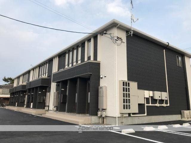 ビションフリーゼⅡ