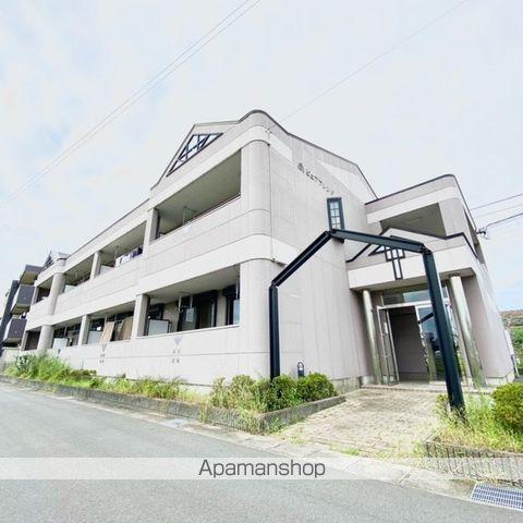 ピュアフレンド