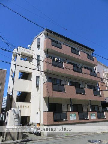 カモミール