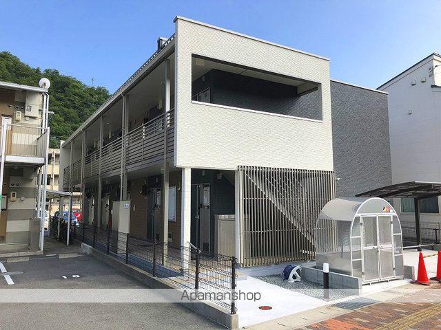 クレイノファレノプシス