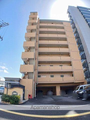 ワンダフルパレス・NI