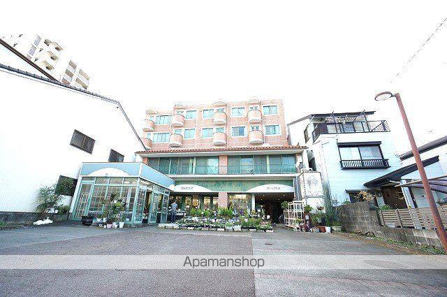 グリーンアネシス