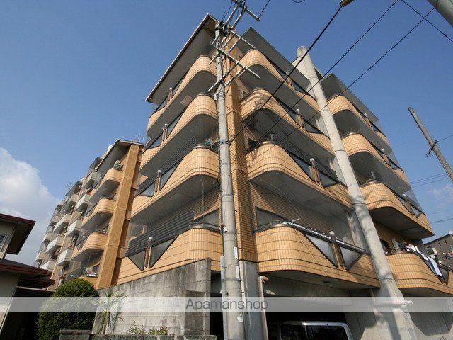 コーニッシュ豊中