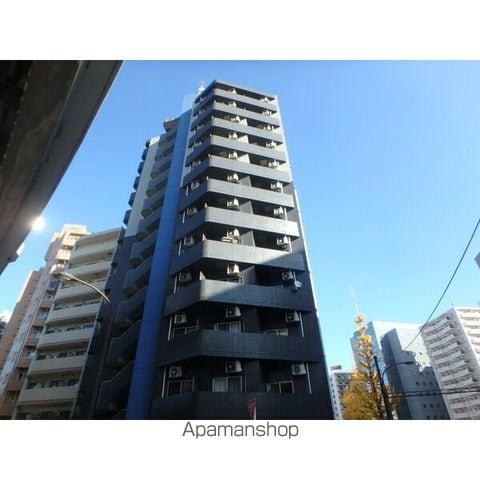 CYNTHIA FOUR-D GOTANDA-ウエスト