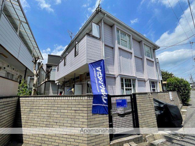 ゼフィランサス新柏