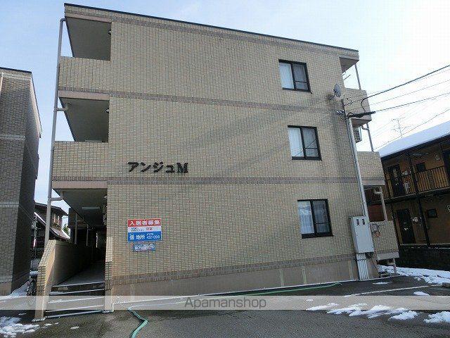 アンジュM