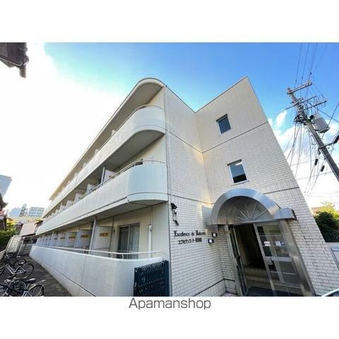 エクセランスド花京院