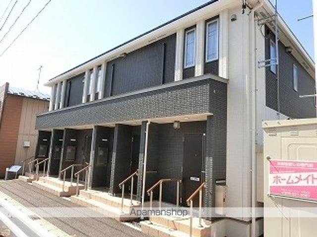 シルバーフォックス