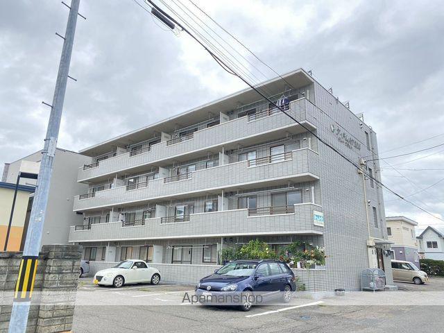 T-FLAT 204