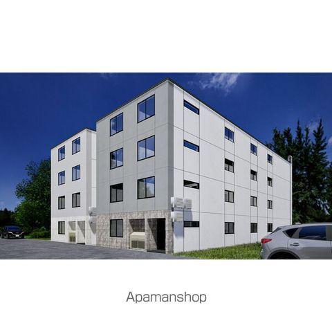 COLORE N17W5