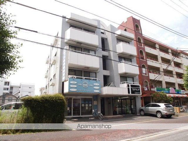 ラフィーヌ・太陽