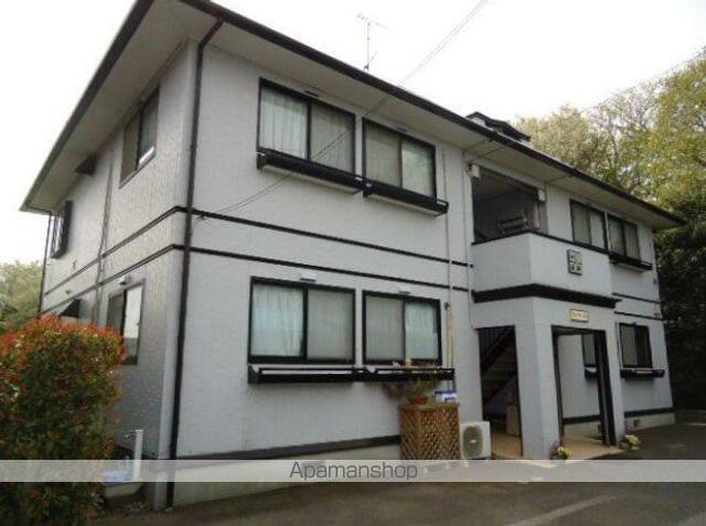 サン ファースト