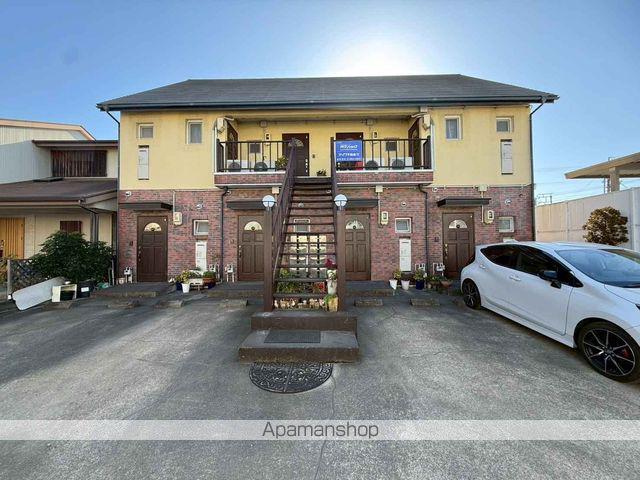 エバーグリーンTS