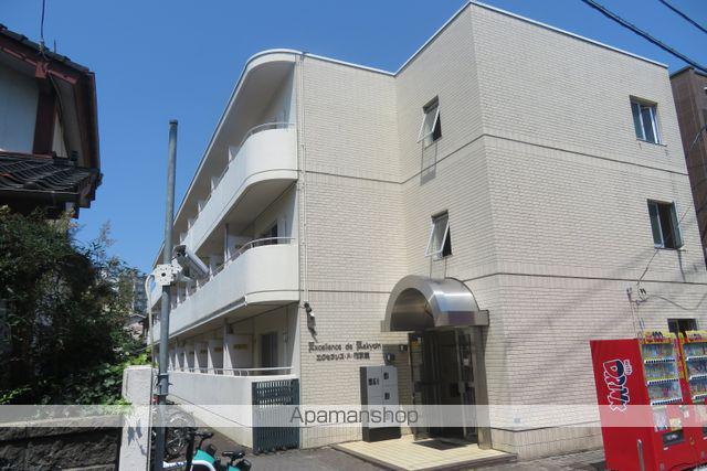 エクセランスド花京院