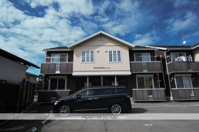 デュアル ブラウン