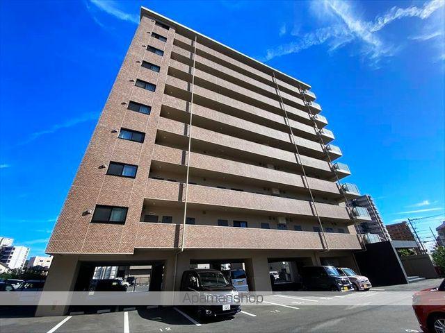 ベラカーササウス