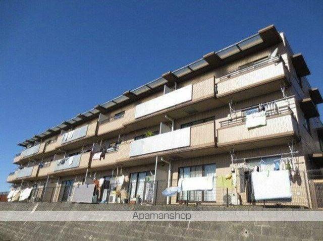 TAフラット桐の木