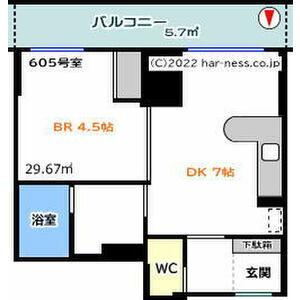 リヴィテージ中島公園(1DK/6階)の間取り写真