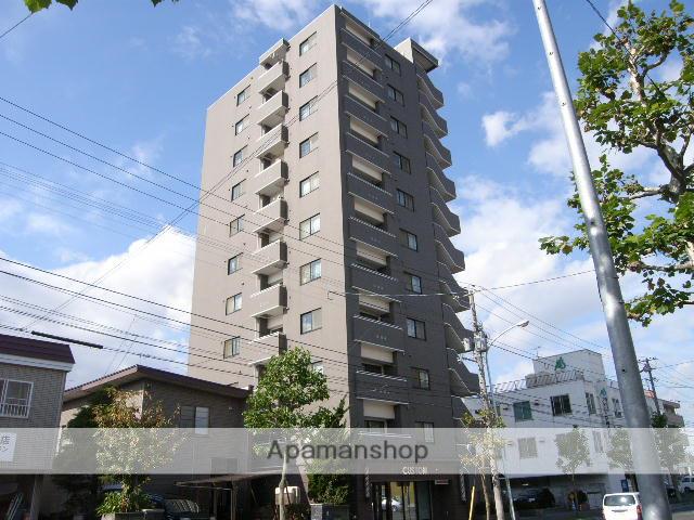 ヴィビ新札幌Ⅲ(2LDK/4階)