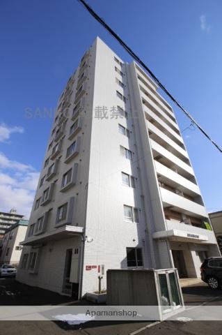 アニマリートN17