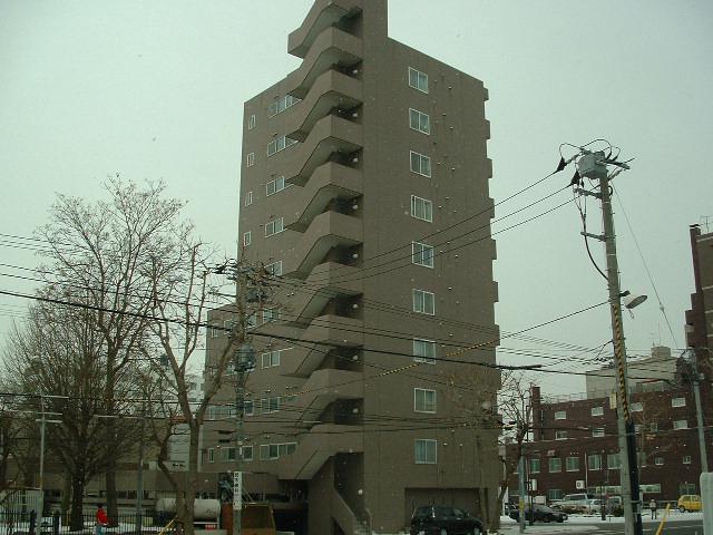 マッシモフェミニール菊水