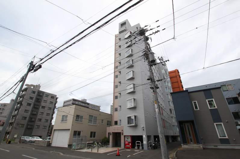 コスモス菊水